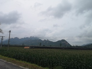 4405802