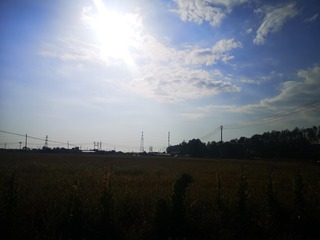 4494044