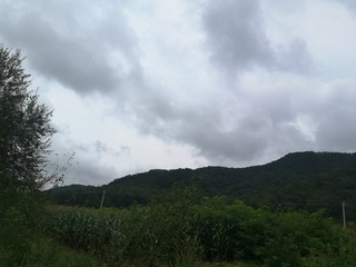4405787