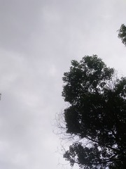 1201104