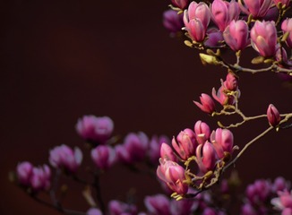690D2A2D-1267-4CED-92E8-F0FAA757170D/L0/001