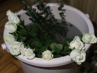 C3316BD3-32DD-4A04-8730-D68DAEEC7808/L0/001