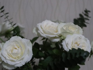 A8717EC6-7319-4BCE-94F6-A5E12C10F270/L0/001