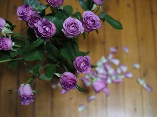 EF66224B-8111-42CC-8F74-E768E205F5F4/L0/001