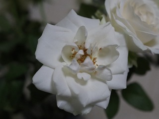 2FA5A3D1-E192-4CC8-824F-FCE0BD547084/L0/001