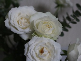 96D5A203-F5BA-46F9-8C9C-9451CA22C291/L0/001