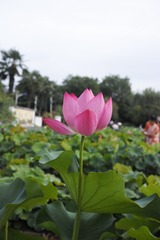 3A4D405D-DAAA-473A-AA9D-192510F967FC/L0/001