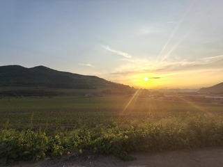 1000035711