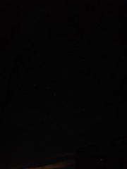 1000035810