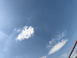 1000035621