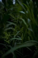 21894EB1-CD41-43CA-826D-71EA38BEB7E6/L0/001