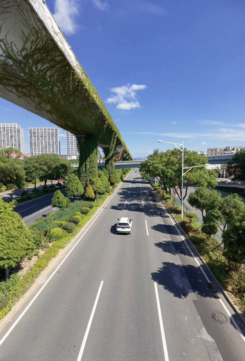 手机摄影华为mate40pro城市高架桥