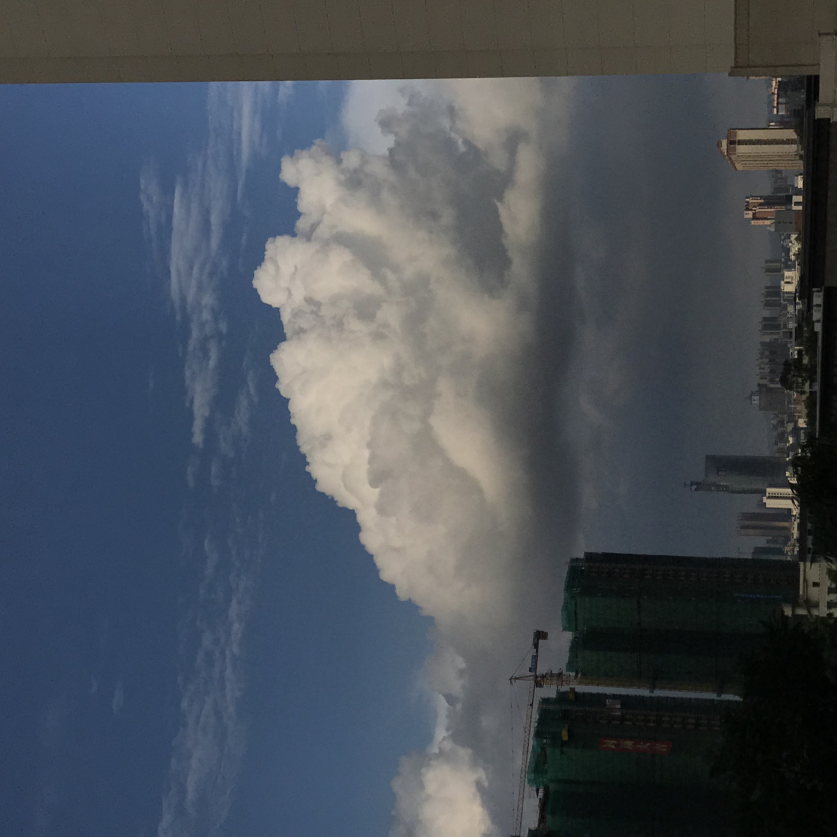 天空是蔚蓝色窗外有千纸鹤