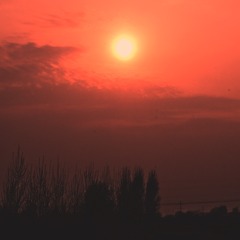FF8A826E-6C11-4B29-84BF-F60985CE0016/L0/001