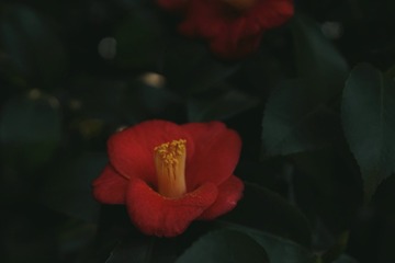 0D5728AB-AB0B-4A73-9365-F74FDAF02697/L0/001