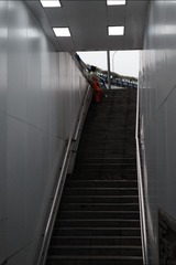 1000046374