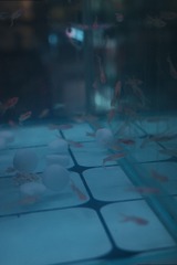 1000054343