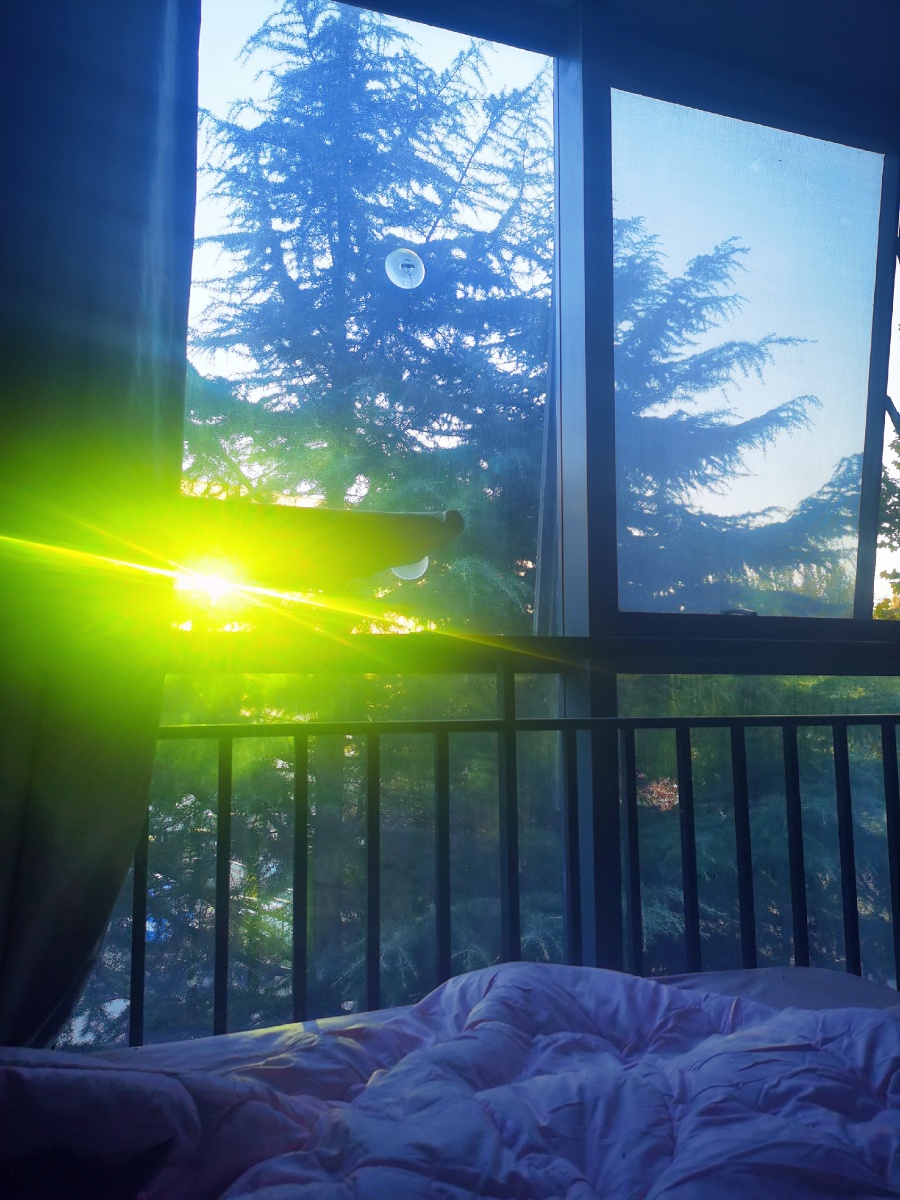 窗外的光&投影到墙上的光自然之美