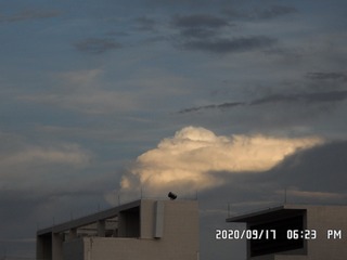 1003201
