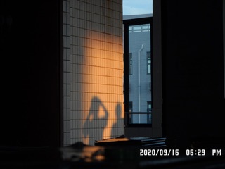 1003153