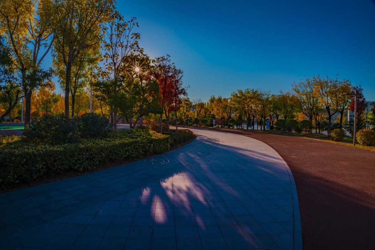 明媚的秋盘锦体育公园晨光随拍集