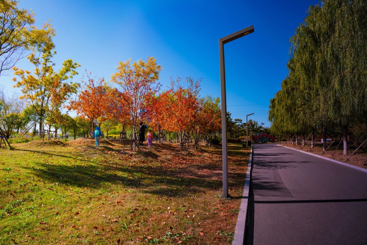 湖滨公园里的秋天
