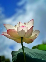 3FFCCD53-B25B-45EE-AE24-9B2A47EEEF18/L0/001