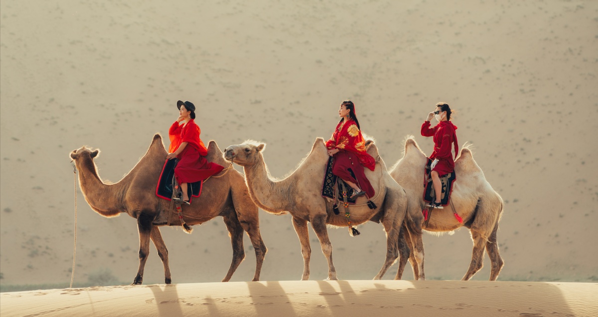 沙漠骆驼红裙美人
