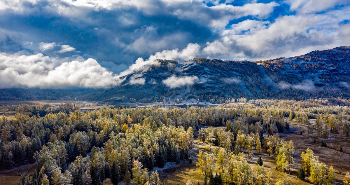 森林树林群山蓝天白云自然风光