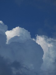 117331