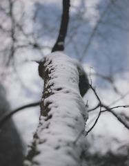 00A7331E-FCE1-4946-8FAA-16B9AF7A679D/L0/001