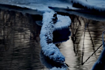 10020