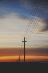 1000002388