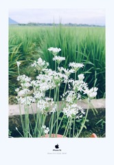 730A5CDC-F431-420C-A9F7-AACCF9F383DB/L0/001