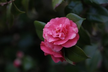 DBF55382-CD43-4424-8AC6-6BA1F0D2564D/L0/001