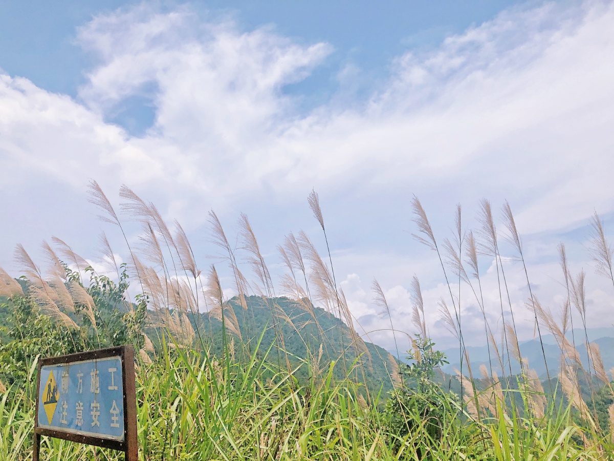 安安静静乡村生活