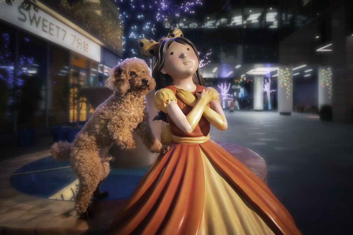 bosomfriend知心朋友