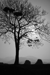 _P2M0039
