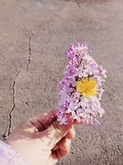 59516