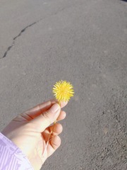 59513