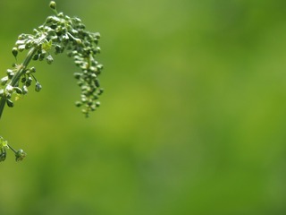 1508633