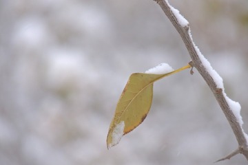 1270179