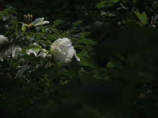 1508639