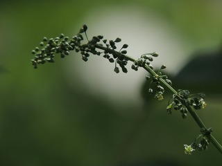 1508638
