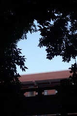 215309