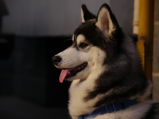 P1010374
