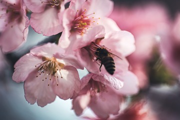 9620B82F-ED68-4B90-99BB-7B53AE5495A7/L0/001