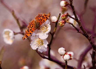 29BEE6F1-D13B-434E-A09A-9D3059F4F5BC/L0/001