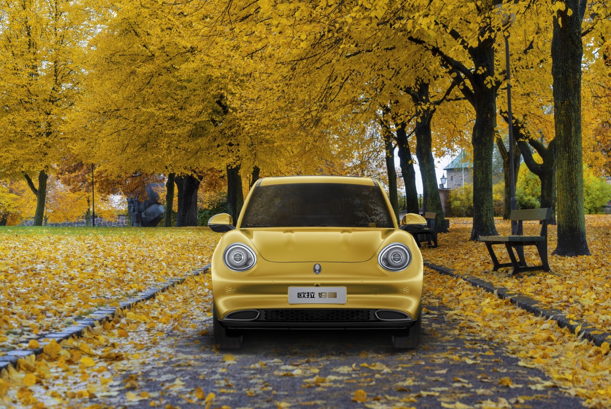 欧拉好猫 - 刘开友 - 图虫