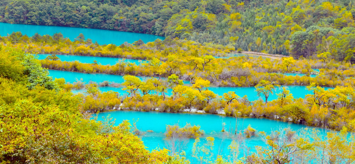 九寨沟的树正群海